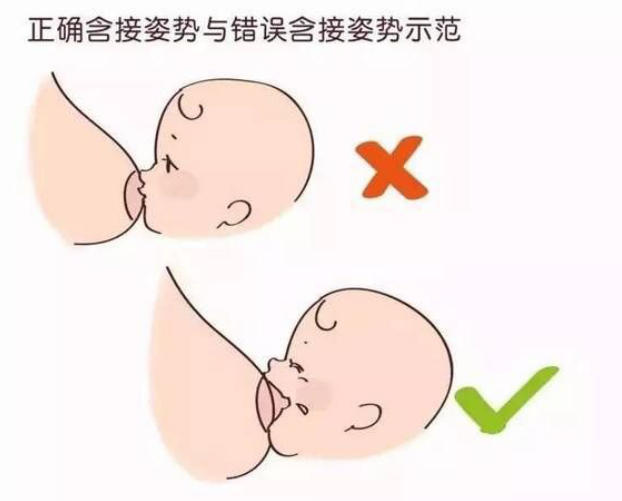 婴儿吃母乳 衔接图片