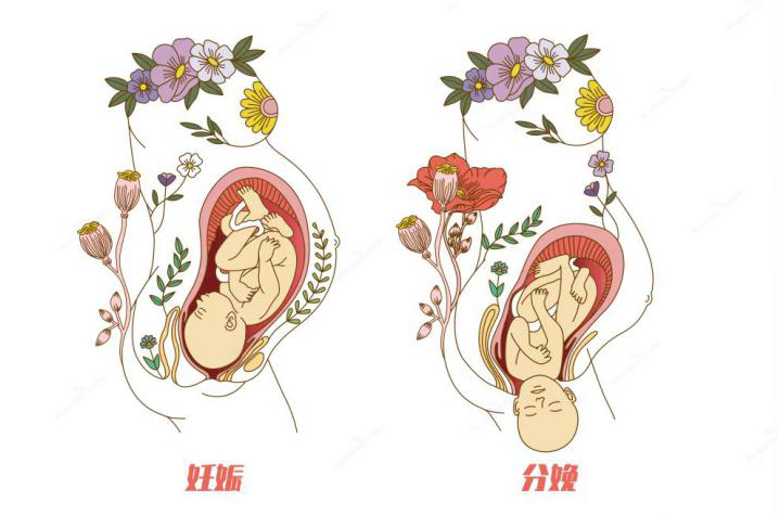 微信图片_20230320102917.png