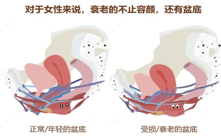 微信图片_20230320102922.png