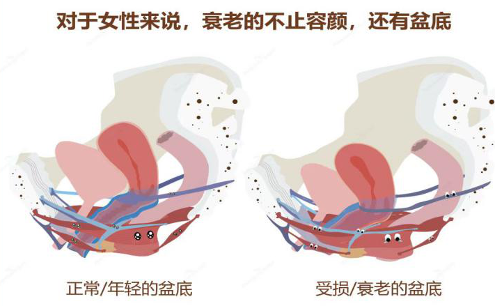 微信图片_20230414083030.png