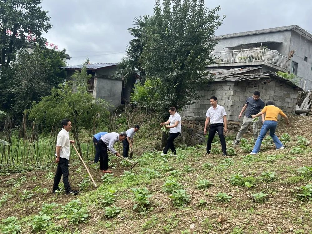 微信图片_20230704170907.jpg
