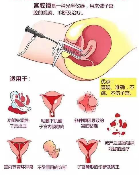 微信图片_20230829084502.png