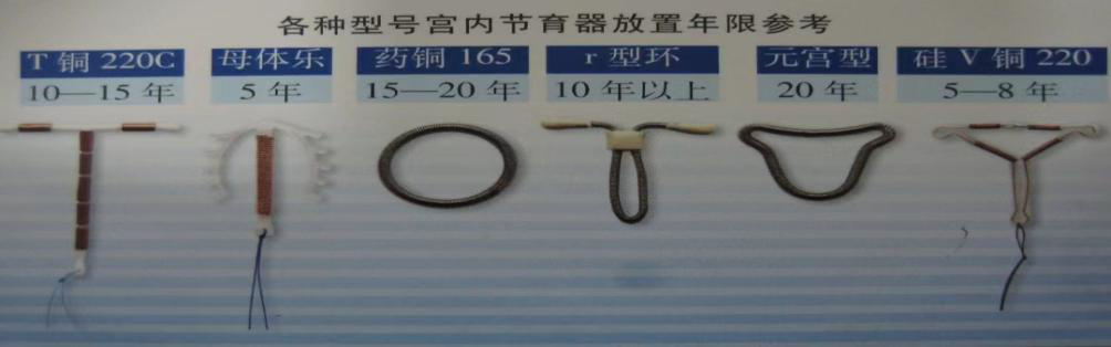 微信图片_20231019112422_2.png