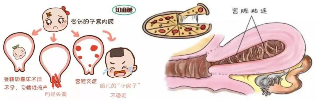 微信图片_20231019112422_1.jpg
